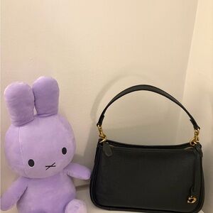 Coach Cary crossbody